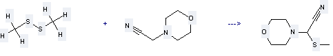 The 4-Morpholineacetonitrile can react with Dimethyldisulfane to get Methylsulfanyl-morpholin-4-yl-acetonitrile